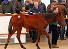 Record Gross, Median at Tattersalls Foal Sale Record Gross, Median at Tattersalls Foal Sale