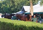 Sept. Sale: Pendulum Swings Back to New Sires Sept. Sale: Pendulum Swings Back to New Sires