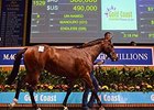 Lot 1529, a filly by Manduro, sold for the highest price at the Magic Millions National yearling sale on the Gold Coast in Queensland June 4.