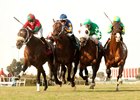 Boat Trip and Joe Talamo (left) win the $100,000 Hollywood Turf Express at Betfair Hollywood Park in Inglewood, CA. From the rail out (right to left), No Silent (Martin Garcia), Chips All In (Aaron Gryder) and Unbridled's Note (Corey Nakatani) finished in an extremely rare triple deadheat for second place.