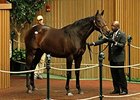 Upperline sold to Town and Country for $1.75 million.