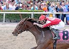 Birdatthewire<br><a target="blank" href="http://photos.bloodhorse.com/AtTheRaces-1/At-the-Races-2015/i-mhtNkjS">Order This Photo</a>
