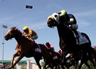 Top 10 Races of 2014 Top 10 Races of 2014