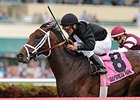 Eh Cumpari comes through with a win in the Palm Beach Stakes.
<br><a target="blank" href="http://photos.bloodhorse.com/AtTheRaces-1/At-the-Races-2015/i-R9STRCC">Order This Photo</a>