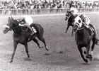 Dynaformer wins the 1988 Discovery Handicap