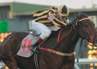 Ordak Dan earned a return trip to the Breeders' Cup Turf with his victory
