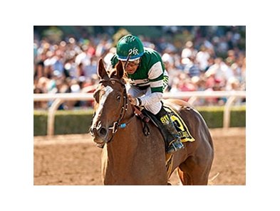 Stellar Wind