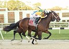 Ocean Knight winning the Sam F. Davis Stakes.