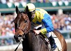 Favored Dubious Miss registered his third consecutive win over Keeneland's Polytrack in the Ben Ali Stakes.<br><a target="blank" href="http://www.bloodhorse.com/horse-racing/photo-store?ref=http%3A%2F%2Fpictopia.com%2Fperl%2Fgal%3Fprovider_id%3D368%26ptp_photo_id%3D8897569%26ref%3Dstory">Order This Photo</a>
