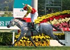 Week In Photos: Hong Kong Cup 2011 Week In Photos: Hong Kong Cup 2011