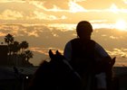 Morning activity in the barn area at Los Alamitos