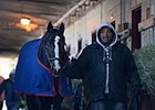 One of many barns at Aqueduct Racetrack.