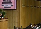 Hip 44, a weanling filly by Galileo, sold for $475,000 on Nov. 5.