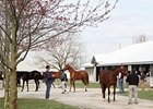 Keeneland April 2-year-olds in training sale.