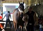 Orb Doing Well; Itsmyluckyday to Work Orb Doing Well; Itsmyluckyday to Work
