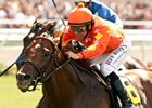 Tom's Tribute earned his grade 1 triumph in the 2014 Eddie Read Stakes