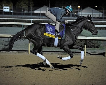 Royal Delta works towards the Breeders' Cup at Churchill Downs in Louisville, Kentucky on Oct. 29, 2011.