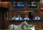 Hip 75, a son of first-crop sire Concord Point, one of 2 colts to sell for $250,000.