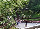The paddock at Delaware Park