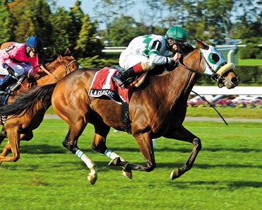 Phillips Racing Partnership's homebred La Cloche came flying with a tremendous late kick to win the 2012 Grade III $150,000 Athenia Stakes by 1 1/4 lengths at Belmont Park.