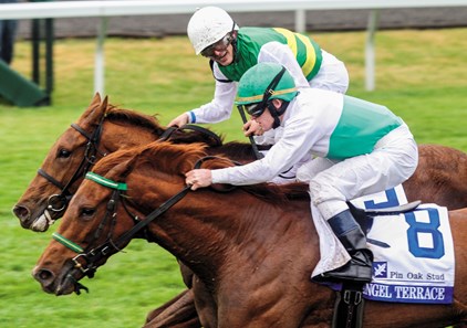 Angel Terrace battles down the stretch to win the 2nd division of the 2012 Pin Oak Valley View Stakes at Keeneland.