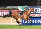 Dolniya Quickens to Sheema Classic Score Dolniya Quickens to Sheema Classic Score