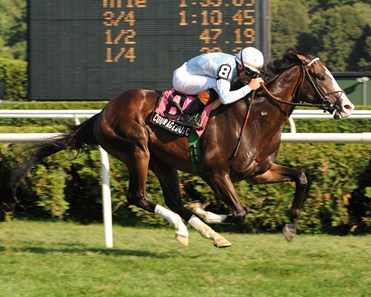 Courageous Cat wins the 2009 Hall of Fame Stakes.