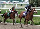 I'm a Chatterbox
<br><a target="blank" href="http://photos.bloodhorse.com/AtTheRaces-1/At-the-Races-2015/i-PvNXjww">Order This Photo</a>