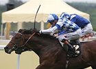 Al Kazeem