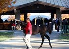 Keeneland November Sale