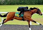 Discreet Cat Son Drills Fastest Eighth at OBS Discreet Cat Son Drills Fastest Eighth at OBS