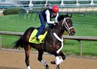 Ride On Curlin