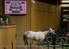 Sheikh's Serenade Hits High Note at Keeneland Sheikh's Serenade Hits High Note at Keeneland