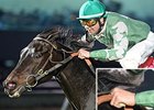 Roman Chapa riding Quiet Acceleration.