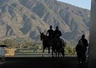 Breeders' Cup News Minute - 10/30/2013 Breeders' Cup News Minute - 10/30/2013