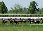Thoroughbred Horse Racing