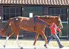 Producer brought 250,000 guineas ($424,047) on the second day of the Tattersalls autumn horses-in-training sale.