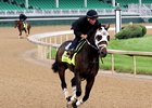 General a Rod in training at Churchill Downs