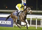 Mahbooba Headlines Cape Verdi Stakes Mahbooba Headlines Cape Verdi Stakes