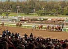 Santa Anita Park