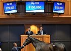Secret Union was the Fasig-Tipton Saratoga fall mixed and horses of racing age sale topper.
