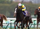 Isla Bonita aims to go one better Nov. 19 after finishing second in last year's Mile Championship at Kyoto