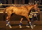 Red Cadeaux Nearing Record Earnings Plateau Red Cadeaux Nearing Record Earnings Plateau