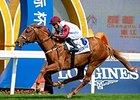 Special Fighter takes the Chengdu Dubai International Cup.