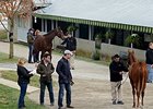 Keeneland November Sale