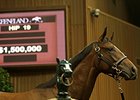 A $1.5 million Medaglia d'Oro filly from the Gainesway consignment led lively trade Sept. 9 at the Keeneland September yearling sale's opening session.