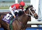 Ekati's Phaeton is the likely favorite for the Gulfstream Oaks.<br><a target="blank" href="http://photos.bloodhorse.com/AtTheRaces-1/At-the-Races-2015/i-zxf99ZF">Order This Photo</a>
