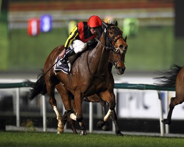 Checked twice in the final 250 meters, Japan's star mare Gentildonna showed just what she's made of March 29 in wearing down Cirrus des Aigles and winning the $5 million Dubai Sheema Classic Presented by Longines (UAE-I) in a course-record time at Meydan Racecourse.