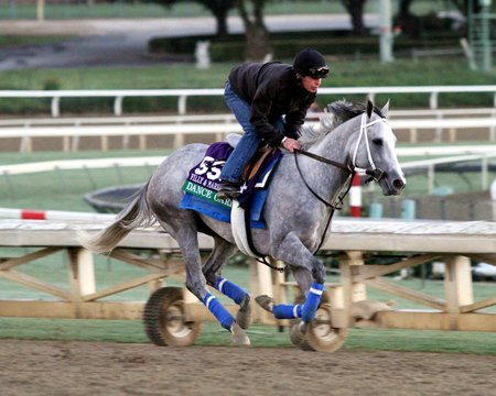 Dance Card trains ahead of the 2013 Breeders' Cup 