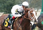Kentucky Oaks Future Wager This Weekend Kentucky Oaks Future Wager This Weekend